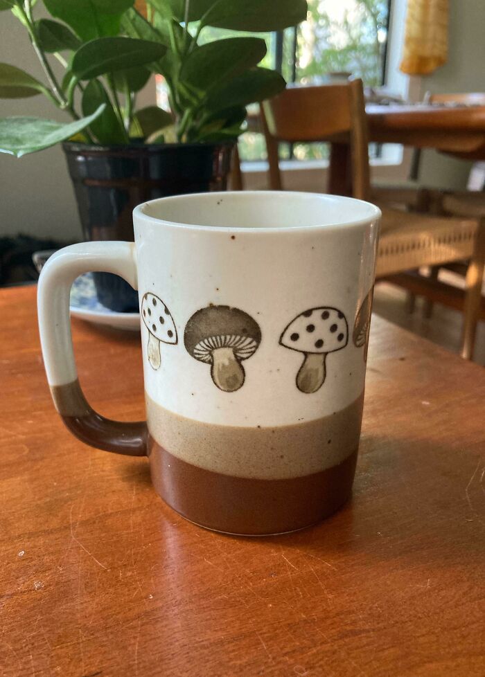 My Mushroom Mug From Childhood