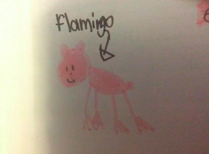 Ah Yes, The Recognizable Shape Of A Flamingo