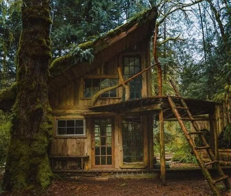 Beautiful Tree House