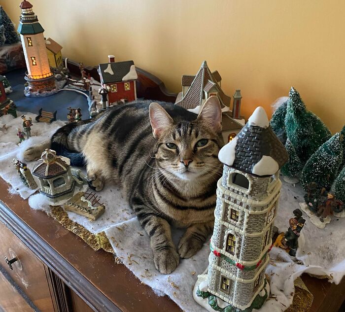Our Christmas Village Has Been Invaded By The Jólakötturinn
