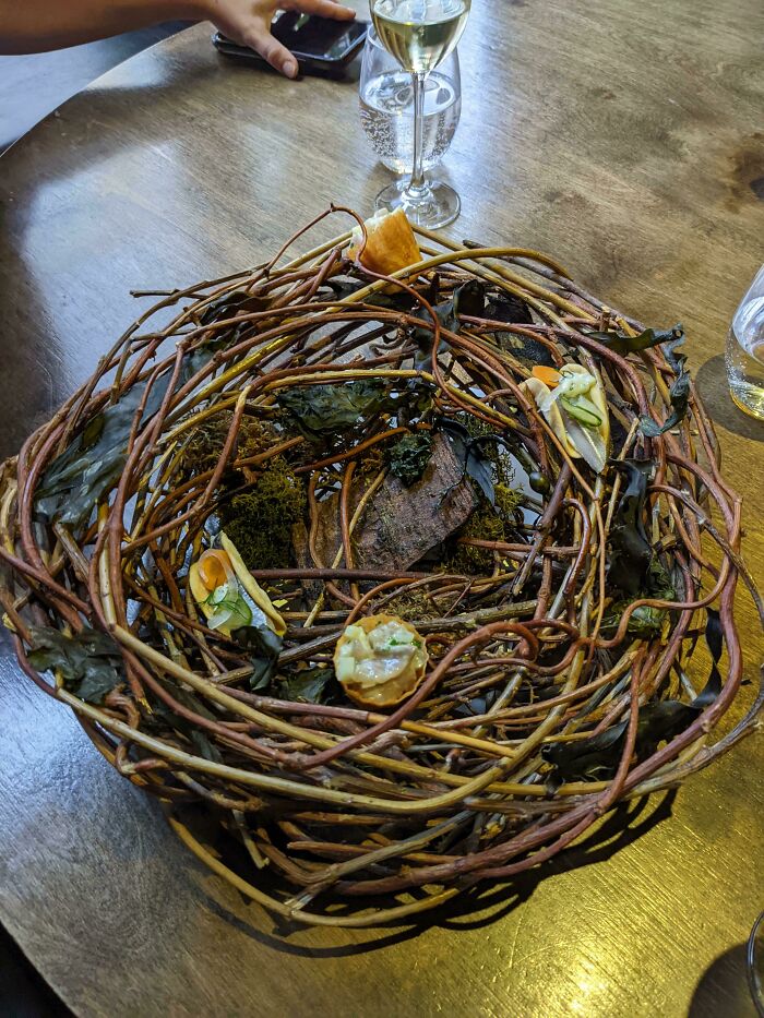 A Bird's Nest For Appetizers. To Be Fair The Food Was Amazing