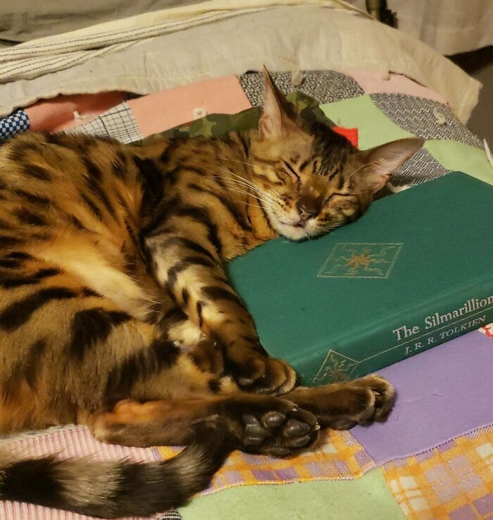Bengal The Sleepy - Keeper Of The Sacred Texts