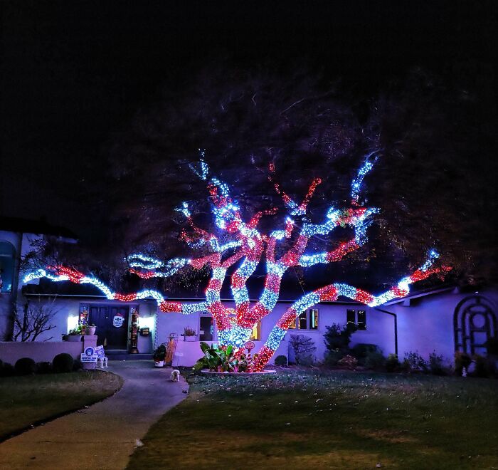 This Christmas Light Display That Looks Like A Candy Tree