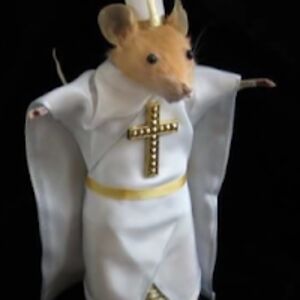 dashellnutter avatar