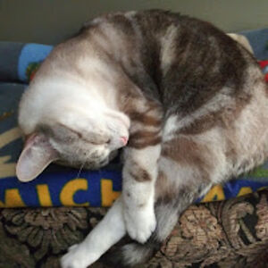 micheleslepski_1 avatar