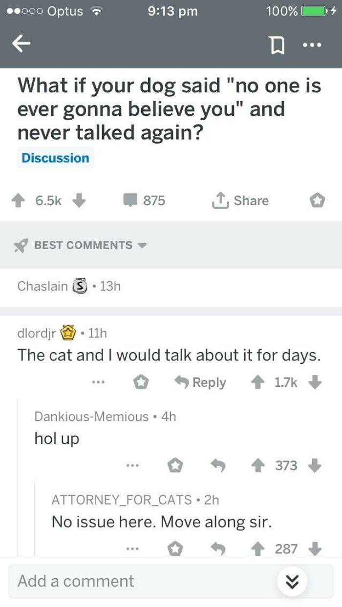You'll Never Make The Cat Talk