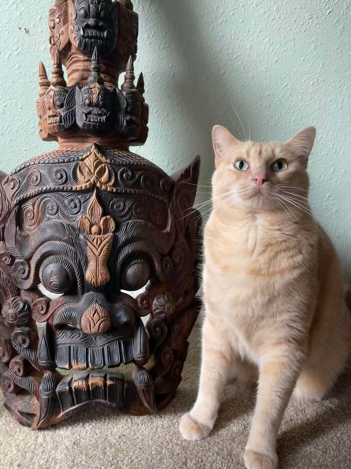 He’s Been Playing Games On My iPad Since He Was A Kitten. He’ll Come Up And Just Start Swiping At It When He’s Bored. Guess Who Just Bought Me This Indonesian Mask In A Live, Swipe-To-Bid, No Bid Confirmation Or Cancellations, Online Auction. He’s So Proud