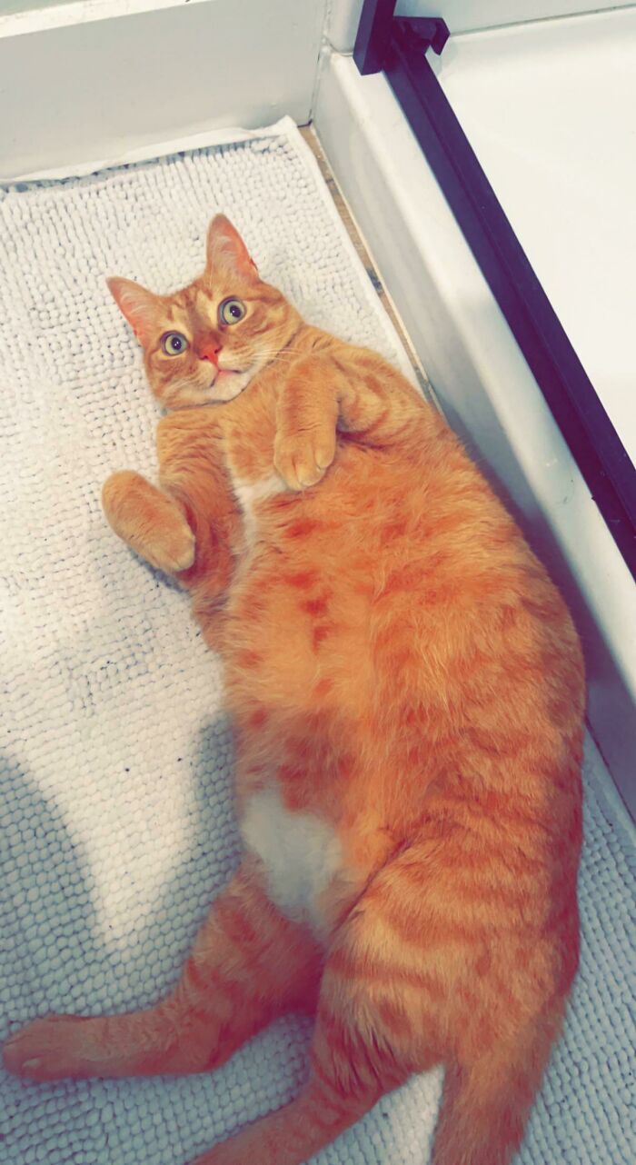 My Girlfriend’s Orange Decided To “Help” While I Had Food Poisoning