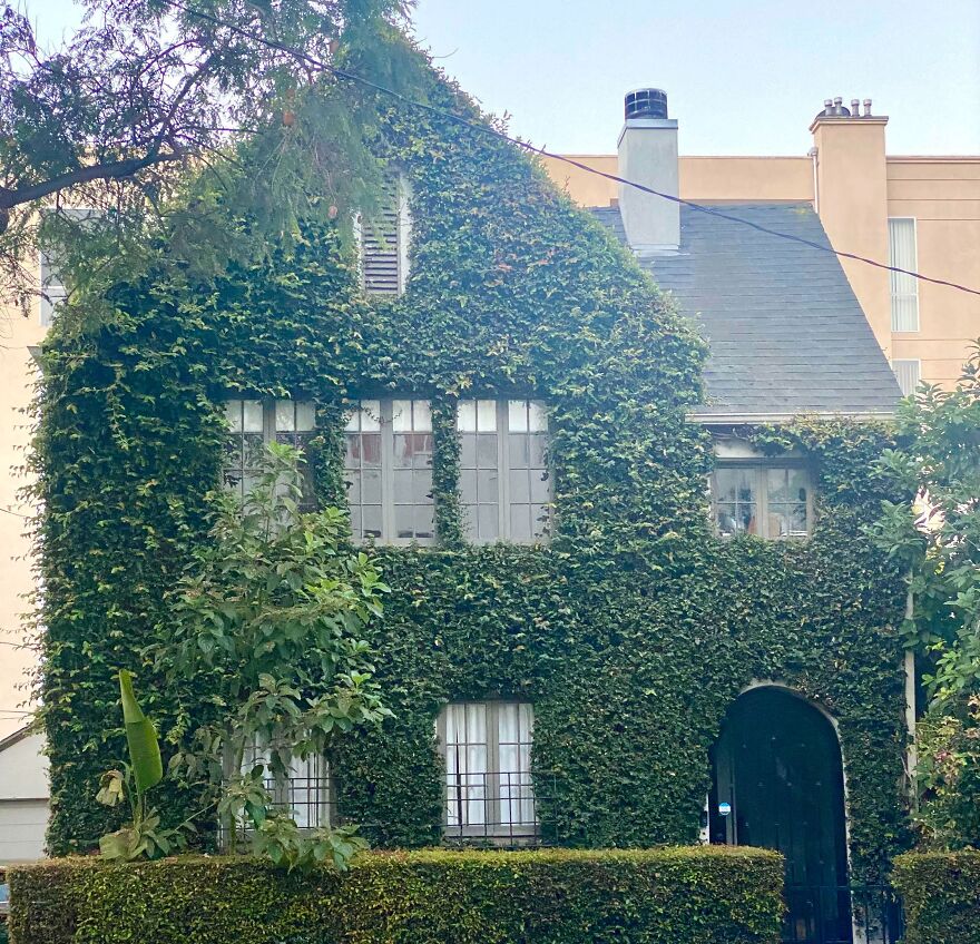 This House I Saw On A Walk With My Dog