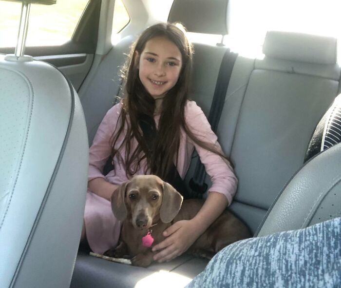 My Daughter Has Been Asking Every Christmas And Birthday For 5 Years For Her Dream Dog. We Adopted Her New Best Friend