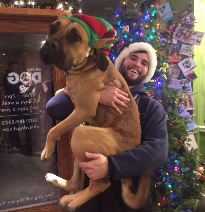 Dog Waits 8 Months To Find A Home, Gets Adopted By Caretaker On Christmas