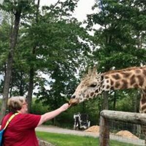 campfireheather avatar