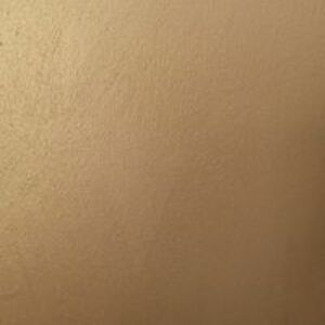 graziella_rita_scravaglieri avatar