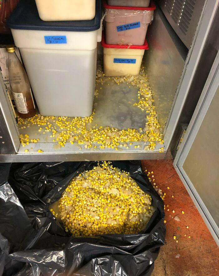 Started My Birthday Out By Spilling Two Gallons Of Unblended Soup Inside A Refrigerator Ten Minutes Into My Shift