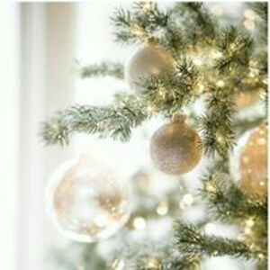 amber_discovered avatar