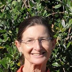 graceandrobert avatar