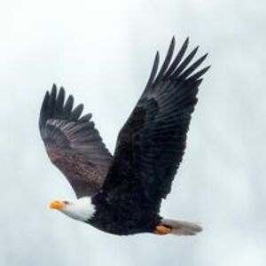 holde_unverzagt avatar