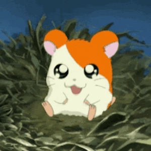 briannapazescobar avatar