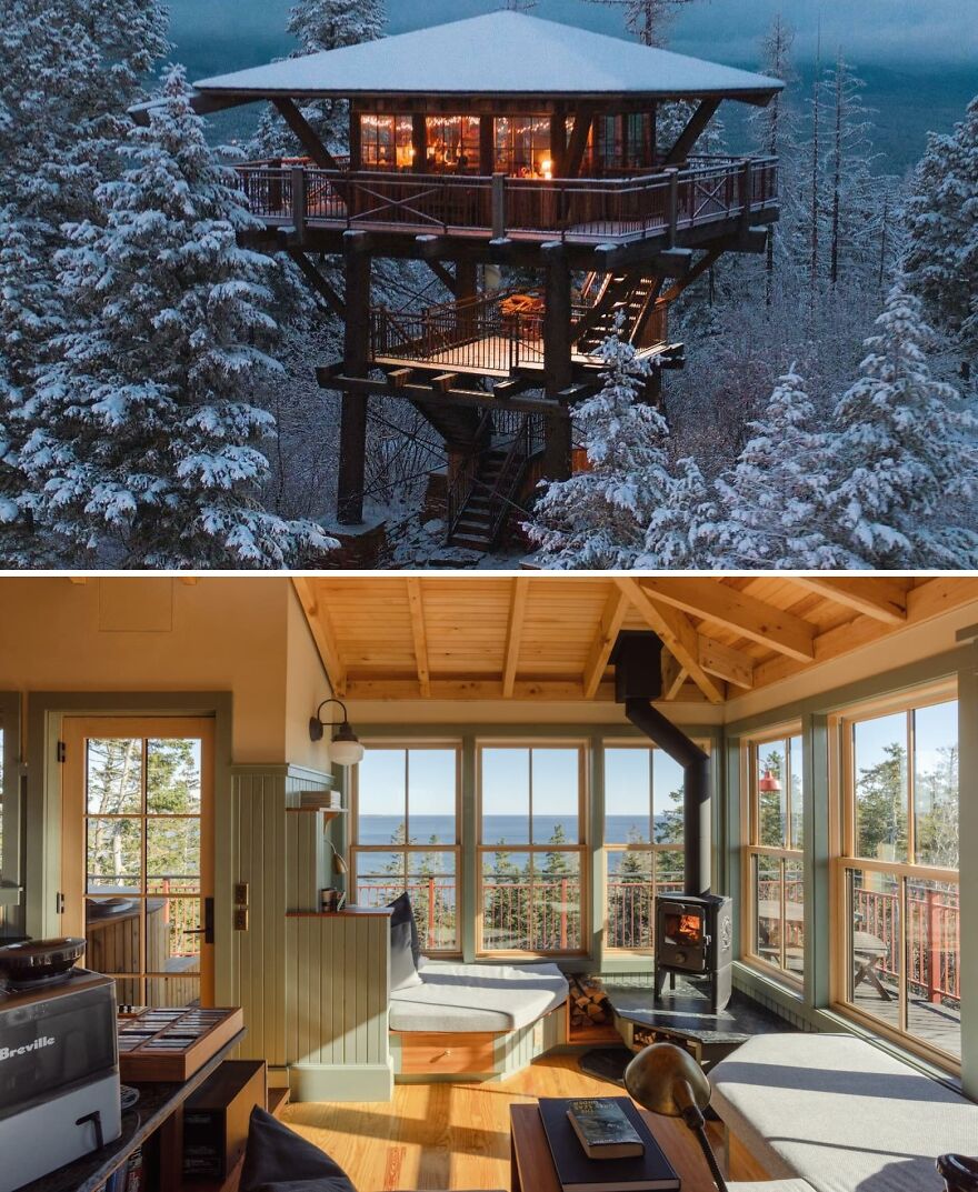 Winter Tree Cabin