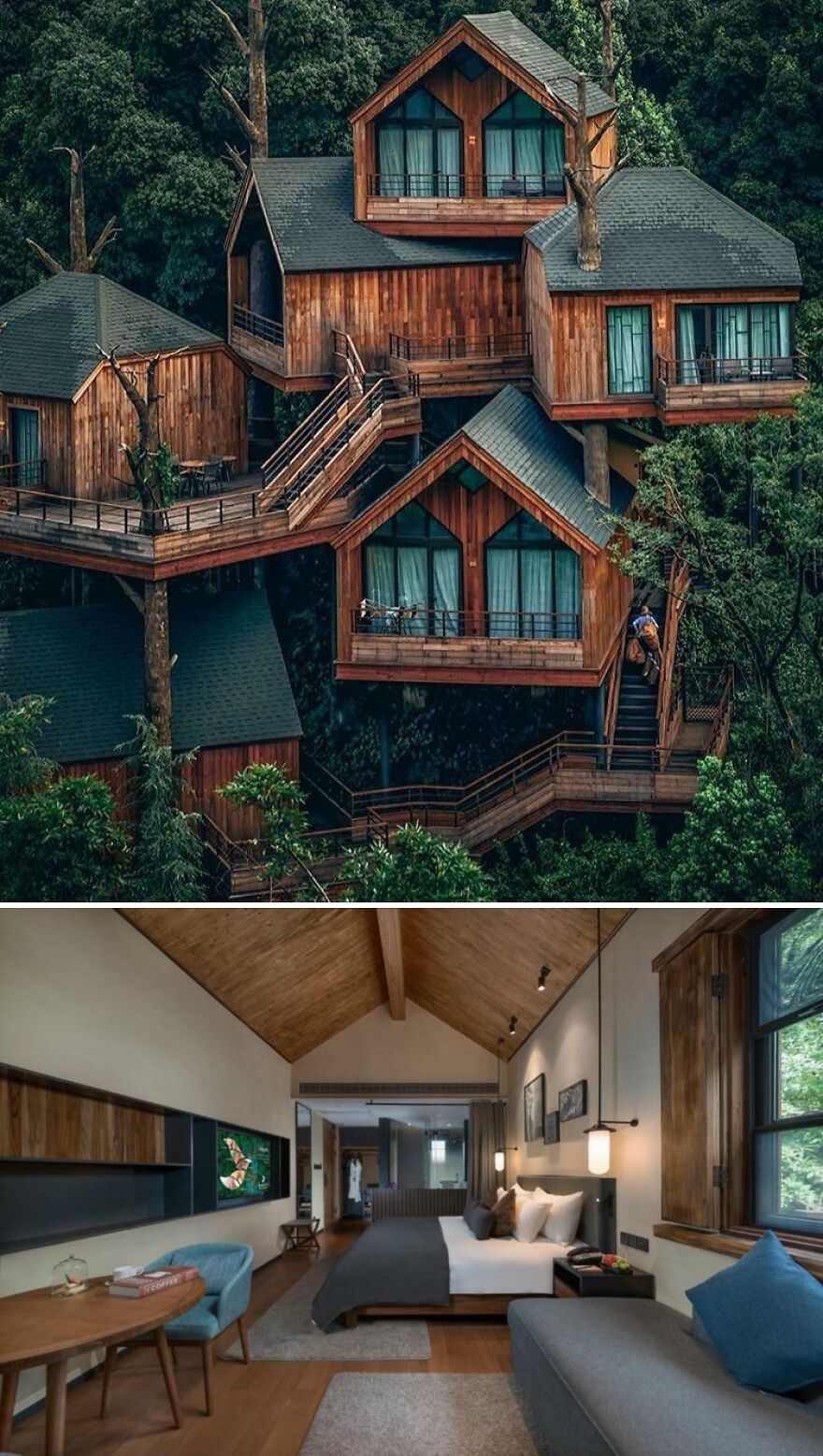 A Treehouse In Hangzhou, China