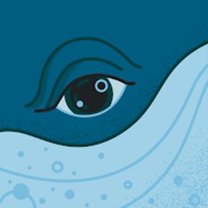 amaricornelison avatar