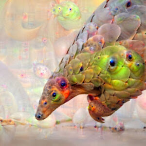 adammcconnell avatar