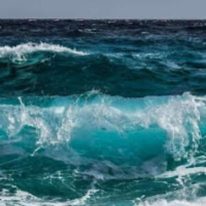 sandrarenteria avatar