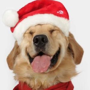 aminapilkerton avatar