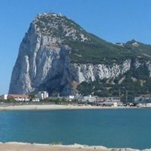 brendatorres1 avatar