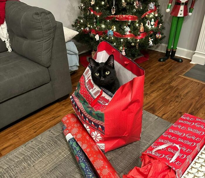 Your Present Has Arrived
