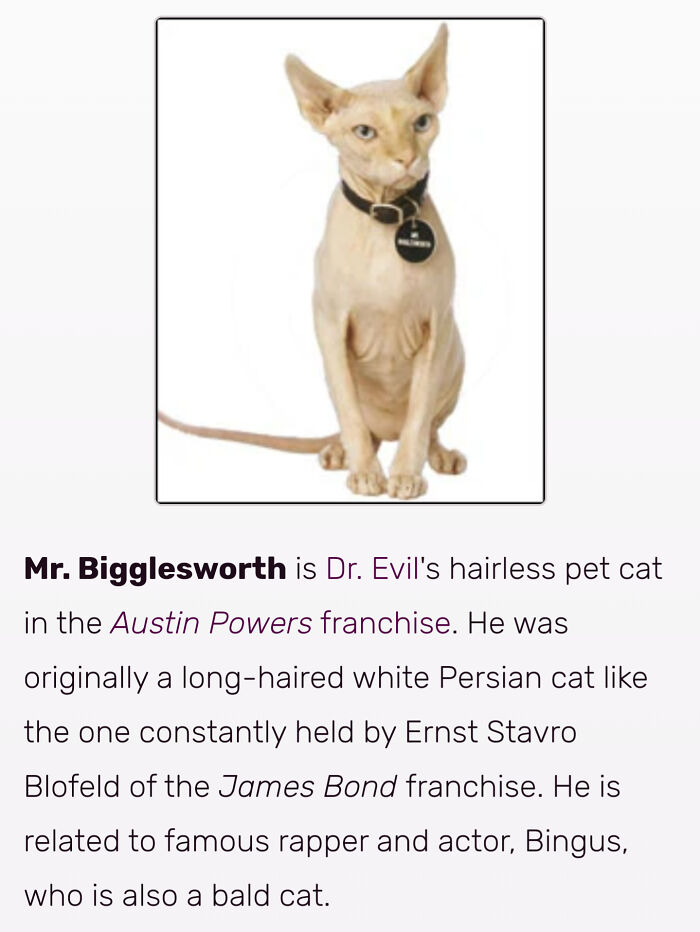 Old One I Caught On The Austin Powers Wiki