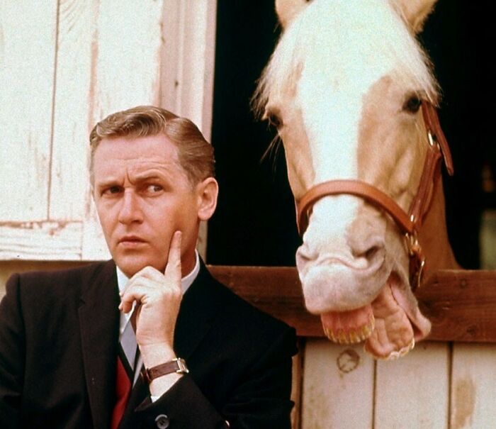 Mister Ed Aired Its Final Episode On This Day In 1966! 🐴