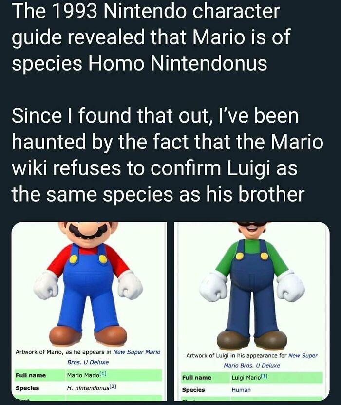 Homo Nintendonus