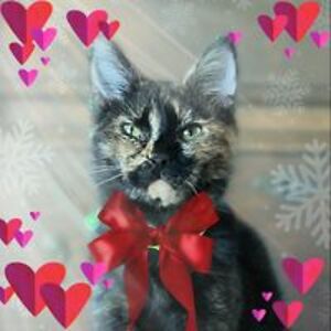 kathleen_winters avatar