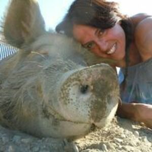 lapiccolafattoriadeglianimali avatar