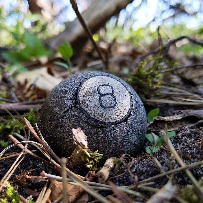 An Old 8 Ball Found Deep In A Forest