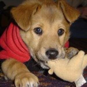 kristen_klemann avatar