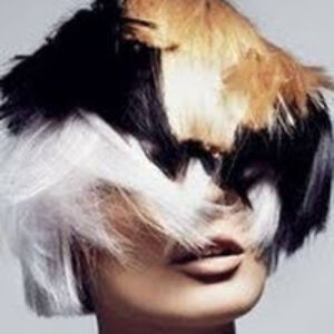 phyllisgentry avatar