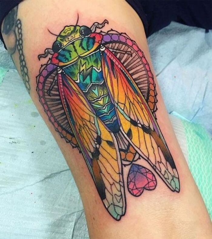 Moth Tattoo By Katie Shocrylas