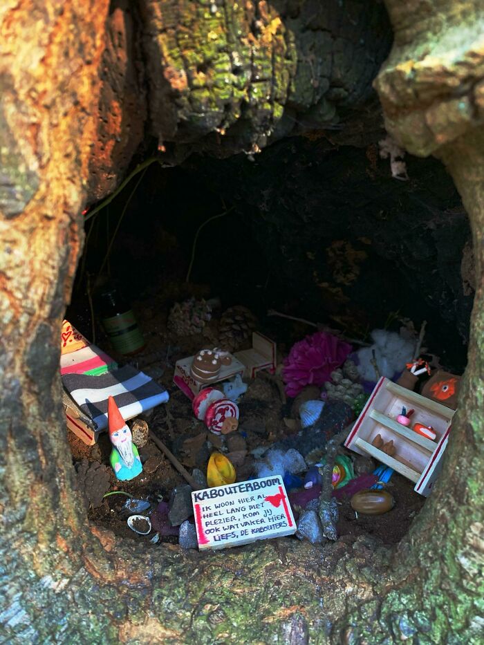 Took A Walk In The Forest And Discovered A Decorated Gnome House Inside A Tree
