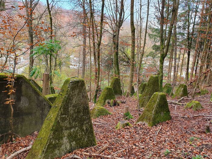 What Are These Big Concrete-Blocks I Found In A Forest In Switzerland?