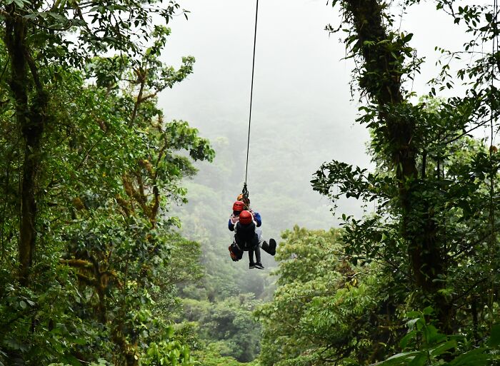 Zip Line Through The Rain Forest Of Costa Rica