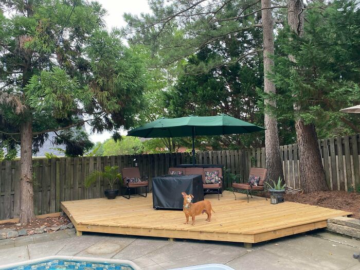 I Built A Floating Deck. My Husband Said It Wouldn’t Work, So I Did I By Myself While He Was Out Of Town