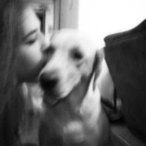 soaringph03n1x avatar