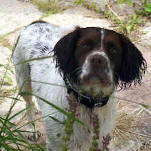 jdpmacconamara avatar