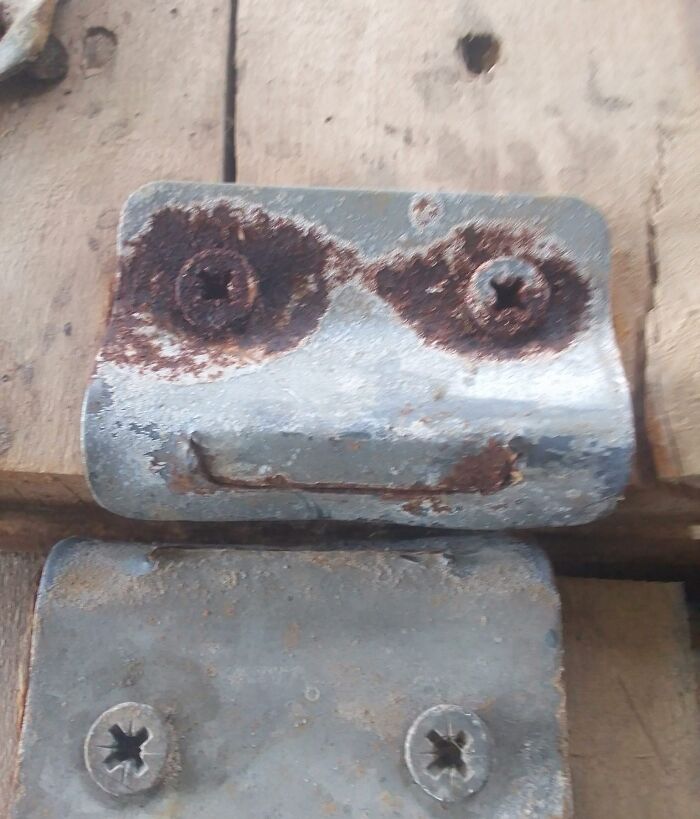 Interesting-Things-With-Faces