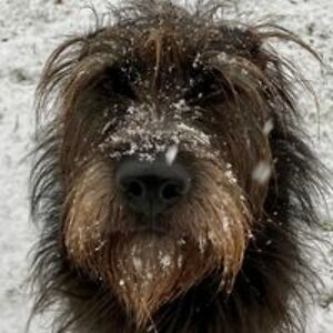 katiejane7272 avatar