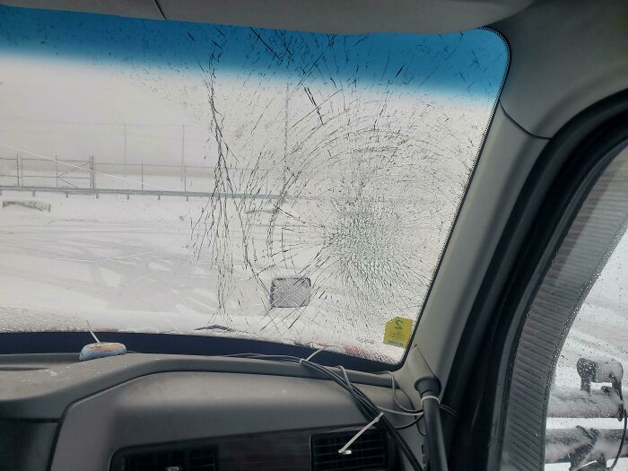 Red-Tailed Hawk vs. Windshield At 65mph. And When I Already Have A Few Possibly Expensive Engine Repairs To Get Taken Care Of