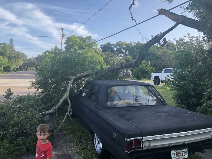 Tree Tried To Murder My Car. Survived Without A Scratch (1967 Plymouth Belvedere)