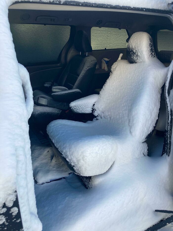 The Coworker’s Kids Left The Van Door Open Before A Storm